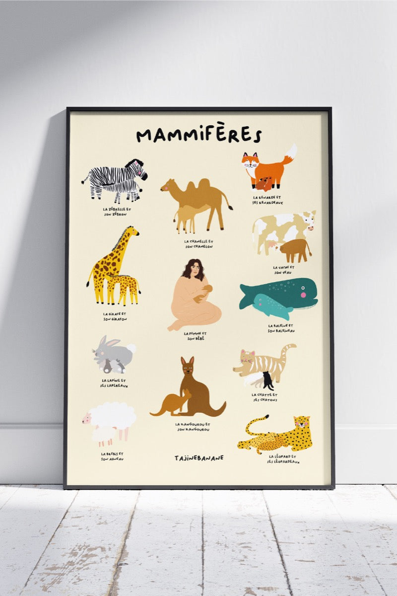 La maxi'affiche mammifères